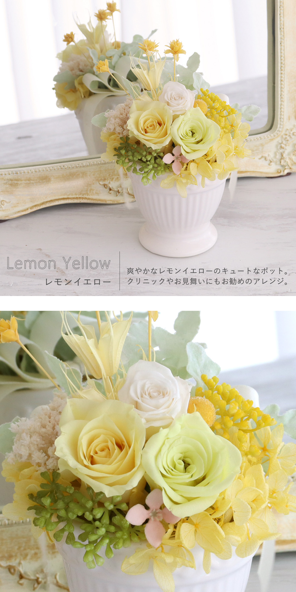 プリザーブドフラワー フルレット レモンイエロー