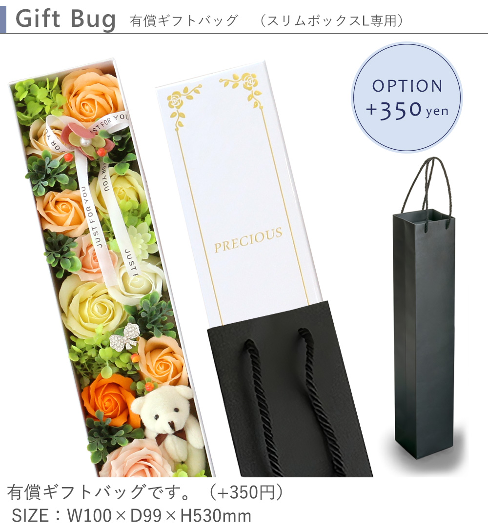 有償ギフトバッグ+250円