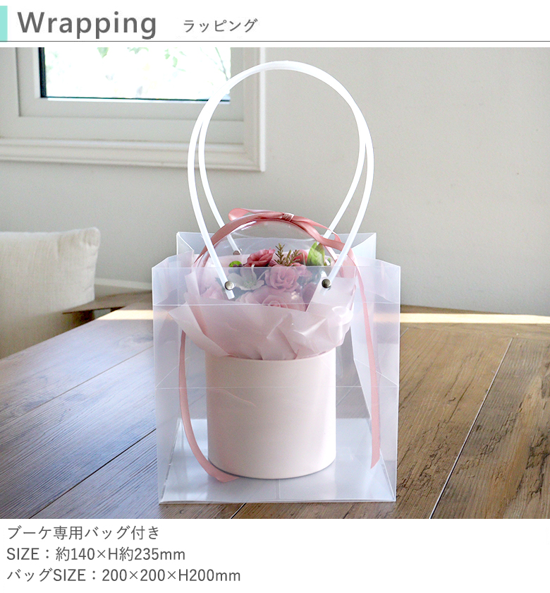 専用バッグ付き