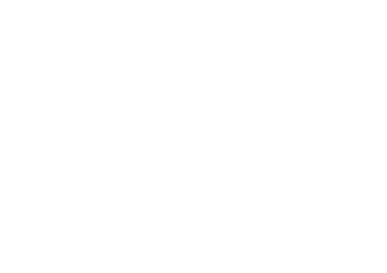 固定画像